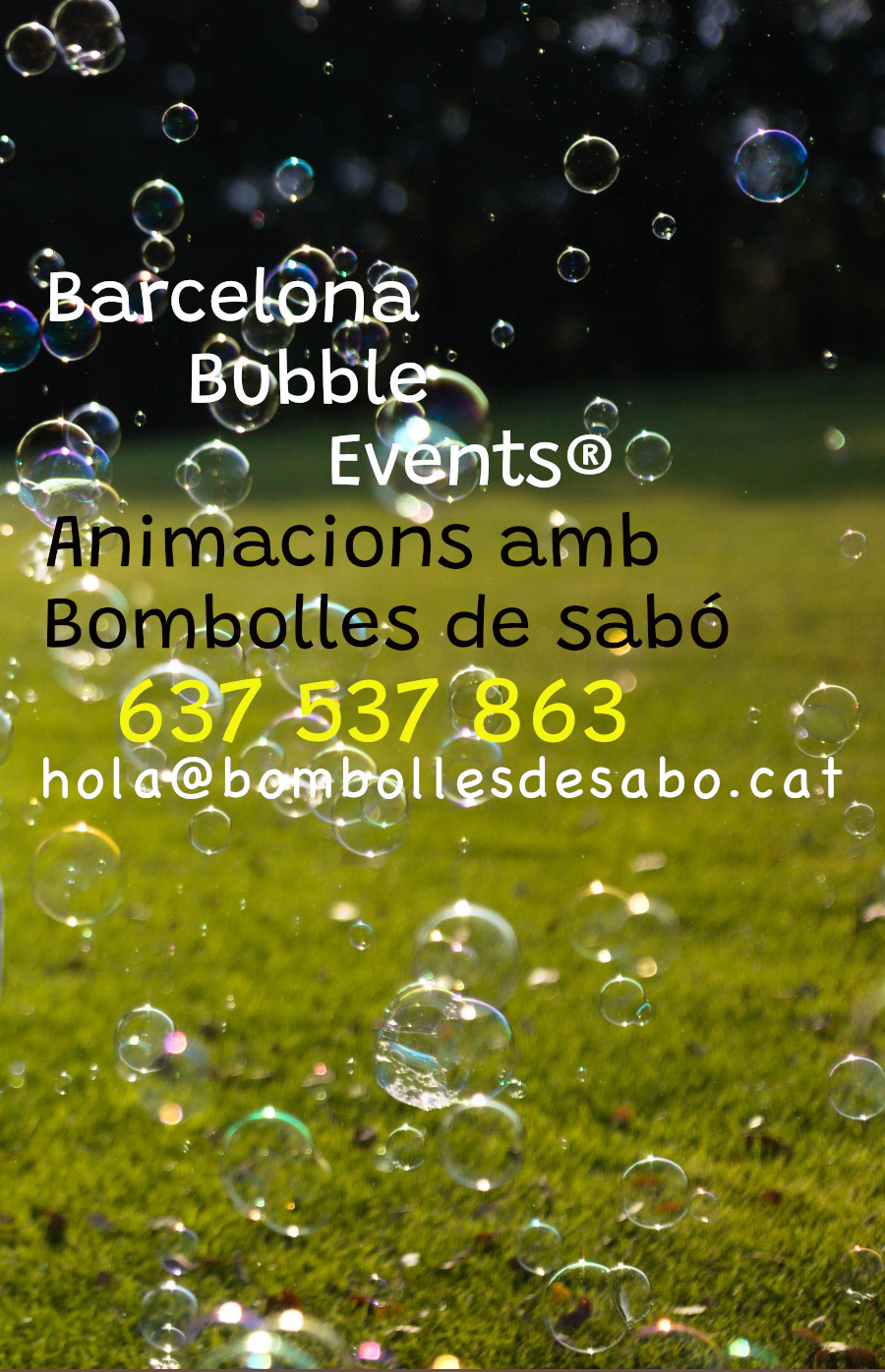 Tallers i animacions amb bombolles de sabo